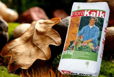 Flora Kalk